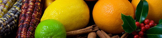 安卓ddos攻击工具